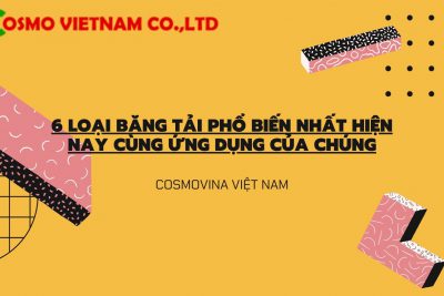 6 basic types of conveyor belts and their applications