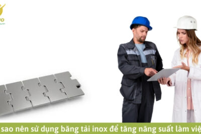 Vì sao nên sử dụng băng tải inox để tăng năng suất làm việc?