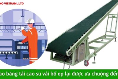  Vì sao băng tải cao su vải bố ep lại được ưa chuộng đến vậy