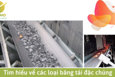 Tìm hiểu về các loại băng tải đặc chủng