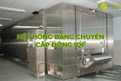 Hệ thống băng chuyền cấp đông là gì?