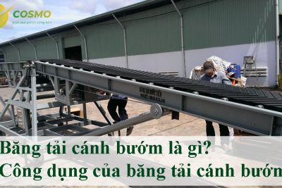 Băng tải cánh bướm là gì? Công dụng của băng tải cánh bướm