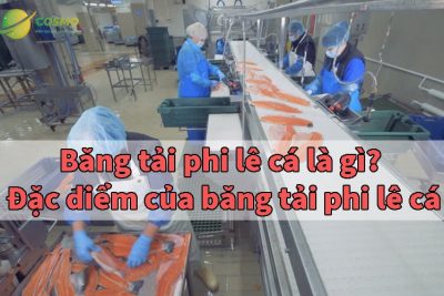 Băng tải phi lê cá là gì? Đặc điểm của băng tải phi lê cá