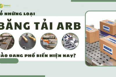 Có những loại băng tải ARB nào đang phổ biến hiện nay?