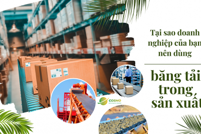 Tại sao doanh nghiệp của bạn nên dùng băng tải trong sản xuất?