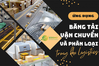 Ứng dụng băng tải vận chuyển và phân loại trong kho Logistic