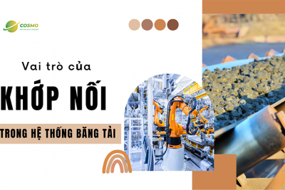 Vai trò của khớp nối trong hệ thống băng tải