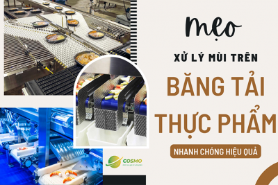 Mẹo xử lý mùi trên băng tải thực phẩm nhanh chóng hiệu quả