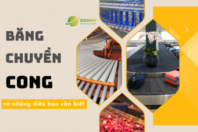 Băng chuyền cong và những điều bạn cần biết