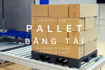 Có những loại pallet băng tải được sử dụng nhiều nhất hiện nay?