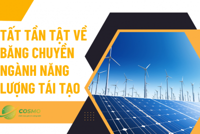 Tất tần tật về băng chuyền ngành năng lượng tái tạo
