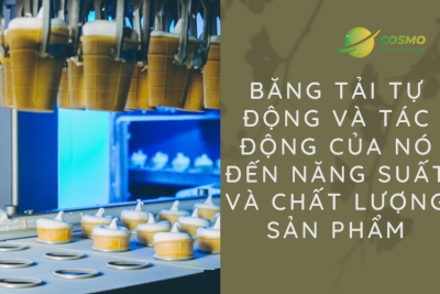 Băng tải tự động và tác động của nó đến năng suất và chất lượng sản phẩm
