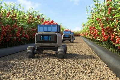 Ứng dụng robot AGV trong ngành nông nghiệp
