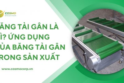 Băng tải gân là gì? Ứng dụng của băng tải gân trong sản xuất