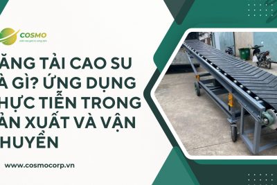 Băng tải cao su là gì? Ứng dụng thực tiễn trong sản xuất và vận chuyển
