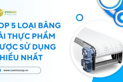 TOP 5 loại băng tải thực phẩm được sử dụng nhiều nhất