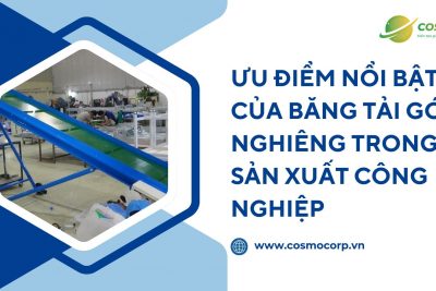 Ưu điểm nổi bật của băng tải góc nghiêng trong sản xuất công nghiệp