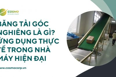 Băng tải góc nghiêng là gì? Ứng dụng thực tế trong nhà máy hiện đại