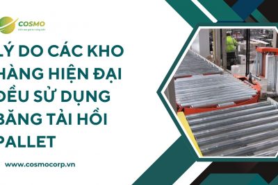 Lý do các kho hàng hiện đại đều sử dụng băng tải hồi pallet