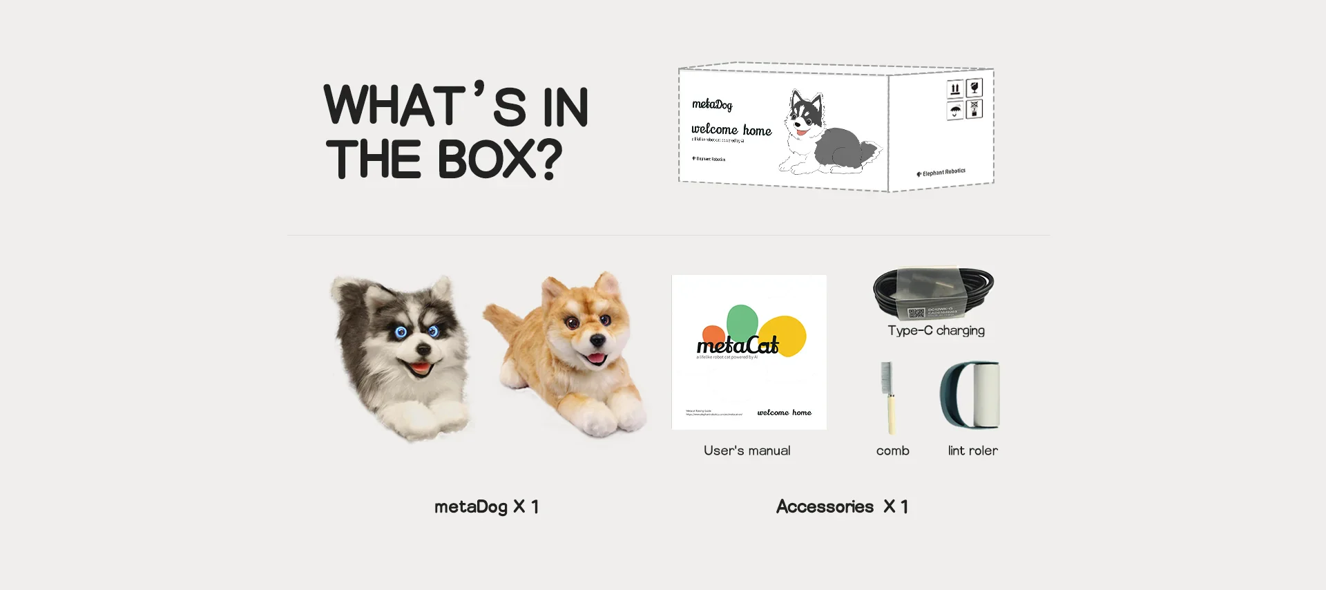 Metadog Box