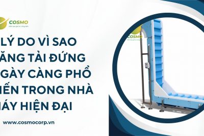 5 lý do vì sao băng tải đứng ngày càng phổ biến trong nhà máy hiện đại