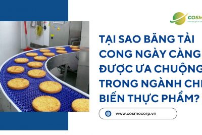 Tại sao băng tải cong ngày càng được ưa chuộng trong ngành chế biến thực phẩm?