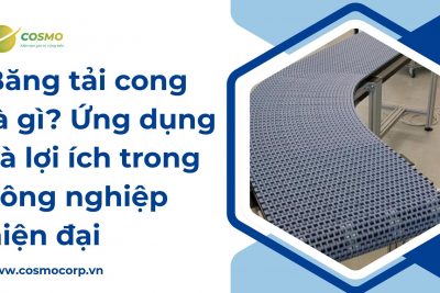 Băng tải cong là gì? Ứng dụng và lợi ích trong công nghiệp hiện đại