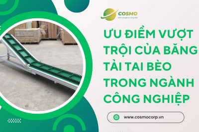 Ưu điểm vượt trội của băng tải tai bèo trong ngành công nghiệp