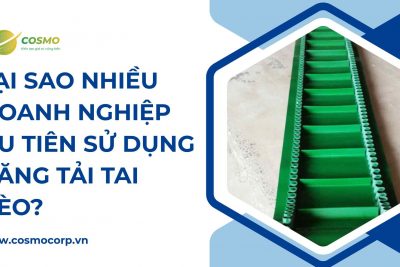 Tại sao nhiều doanh nghiệp ưu tiên sử dụng băng tải tai bèo?