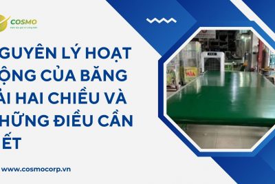 Nguyên lý hoạt động của băng tải hai chiều và những điều cần biết