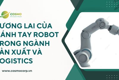 Tương lai của cánh tay robot trong ngành sản xuất và logistics