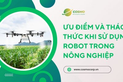 Ưu điểm và thách thức khi sử dụng robot trong nông nghiệp